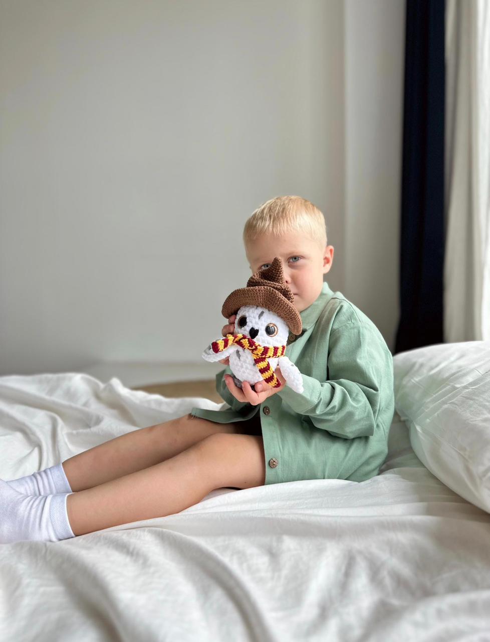 Harry Potter Wizards Haakpatroon – Trio + Uil PDF